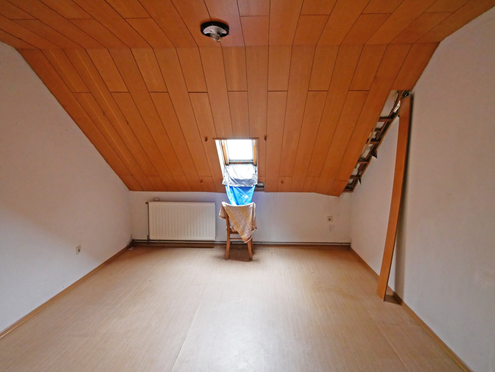 Zimmer DG