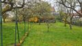 Obstgarten