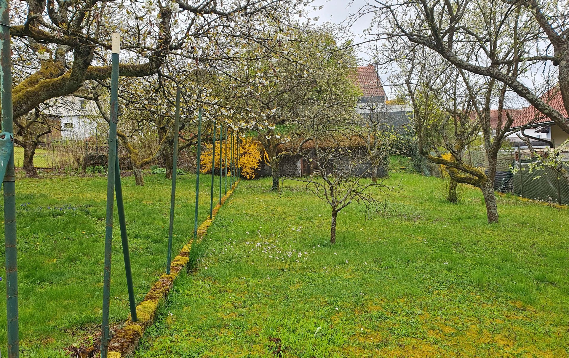 Obstgarten